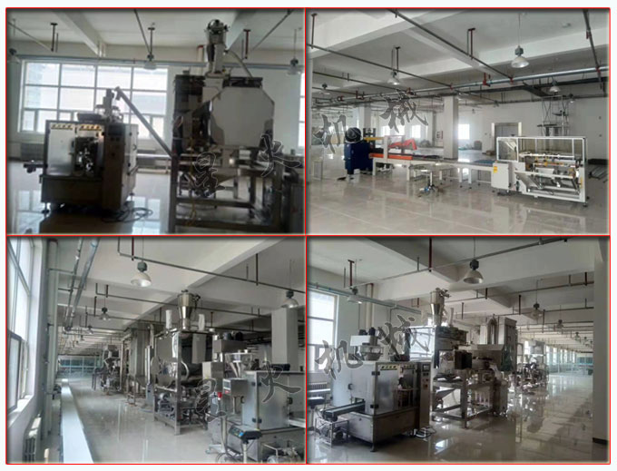 星火廠房稱重果蔬粉包裝機及自動果蔬粉包裝生產線實拍