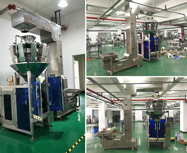 智能化水果干自動包裝機車間設備展示